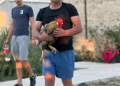 Fotografija 16 - RupeIN – Đir po selu: Ljeto za pamćenje u Rupama i šire