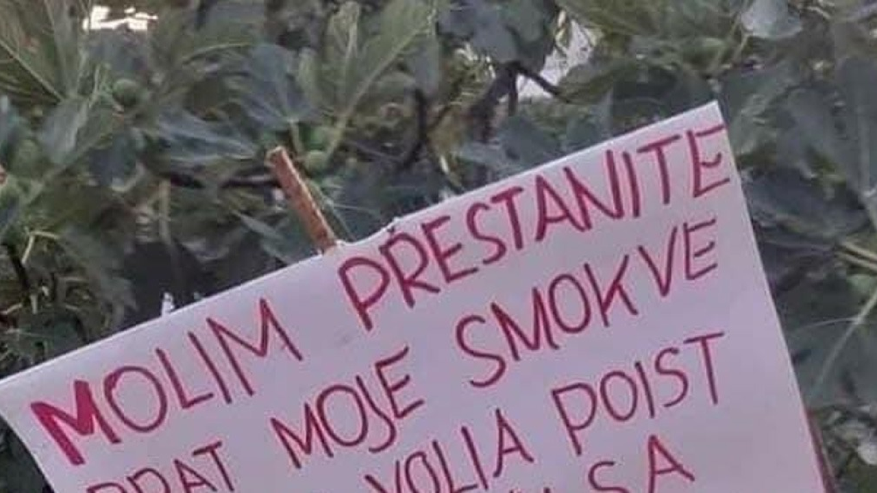 Parolom protiv taraša:  'I ja bi volia poist koju smokvu'