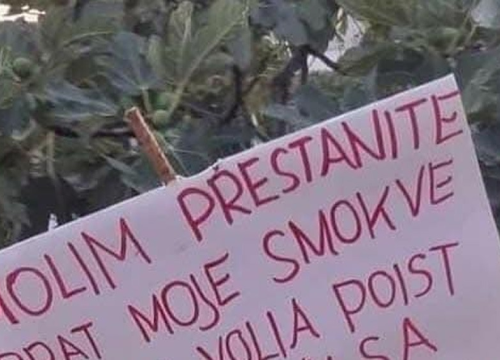 Parolom protiv taraša:  'I ja bi volia poist koju smokvu'