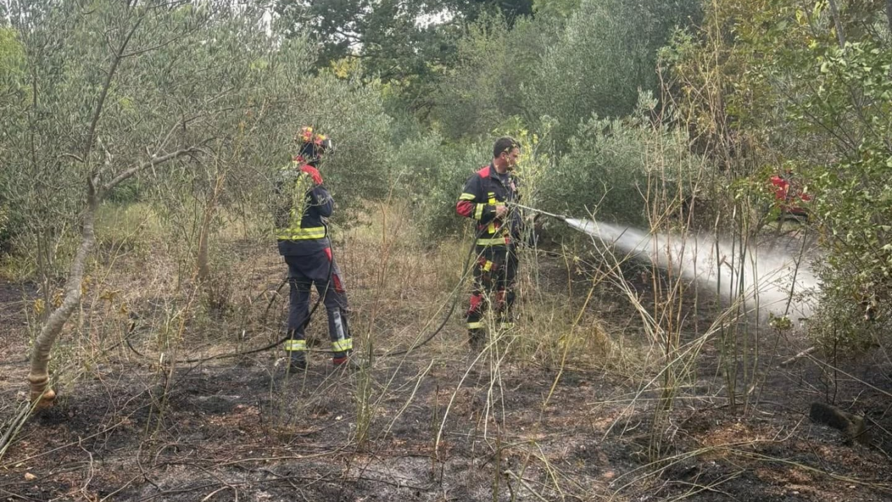 Požar kod Dubravica lokaliziran, dogašavanje je u tijeku