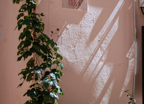 Fotografija 54 - Šibenski Stari grad – kameni labirint povijesti i života