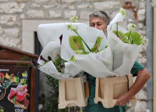 Fotografija 3 - Đir po gradu, nedjelja 31. kolovoza