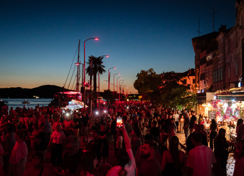 Fotografija 26 - Šibenik impresivnim dron showom obilježio jubilarno izdanje manifestacije Light is life