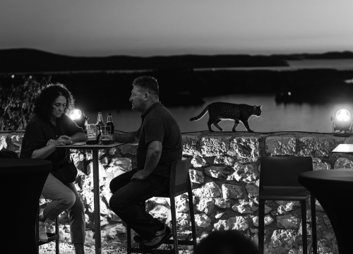 Fotografija 5 - Ladies night na Tvrđavi Barone: Emotivna glazbena večer u čast Gabi Novak i Matije Dedića