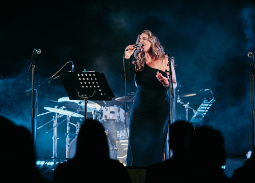 Fotografija 4 - Ladies night na Tvrđavi Barone: Emotivna glazbena večer u čast Gabi Novak i Matije Dedića