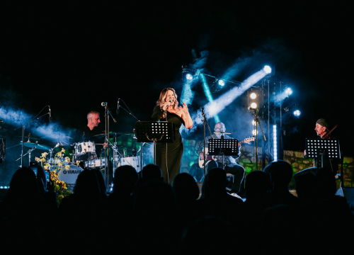 Fotografija 15 - Ladies night na Tvrđavi Barone: Emotivna glazbena večer u čast Gabi Novak i Matije Dedića