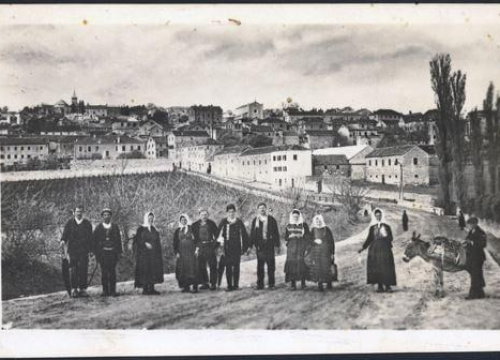 Fotografija 11 - Ušice i nožice u drniškom gurmanskom raju