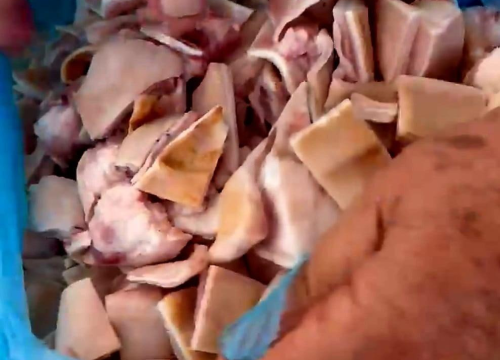 Fotografija 6 - Ušice i nožice u drniškom gurmanskom raju