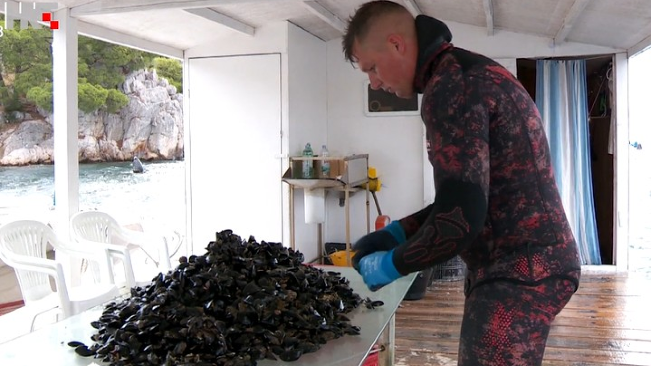 Mladi šibenski školjkar Romano nominiran je za ‘OPG Zlata vrijedan’: 'To je dio mene, dio naših obitelji i dio tradicije'