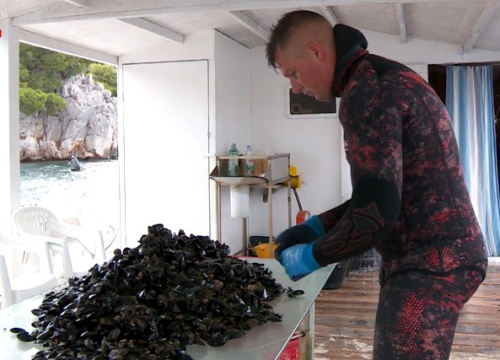 Mladi šibenski školjkar Romano nominiran je za ‘OPG Zlata vrijedan’: 'To je dio mene, dio naših obitelji i dio tradicije'