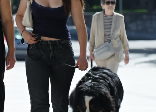 Fotografija 47 - Đir po gradu, ponedjeljak 8. rujna