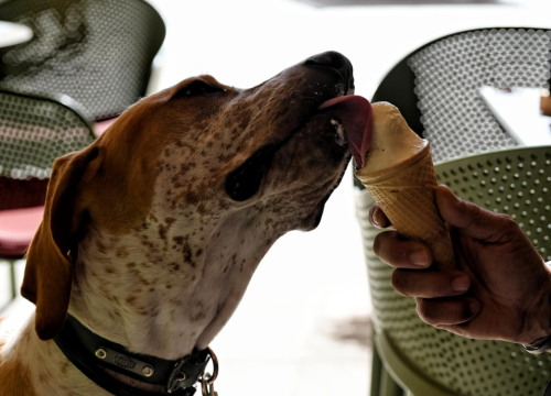 Fotografija 24 - Đir po gradu, ponedjeljak 8. rujna