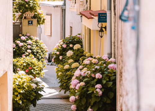 Tribunjski TZ upozorava iznajmljivače na lažne uplatnice za takozvani 'Turistički registar'