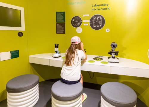 Fotografija 4 - Rujan u NP „Krka“: edukativne radionice i programi za djecu i mlade