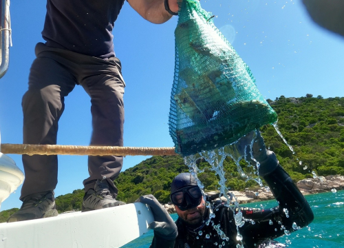 Fotografija 5 - Ronilački klub 'Murter-Kornati' u akciji čišćenja podmorja oko 13 otočića u općini