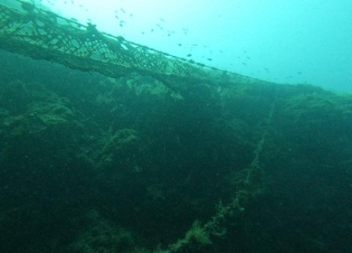 Fotografija 7 - Ronilački klub 'Murter-Kornati' u akciji čišćenja podmorja oko 13 otočića u općini