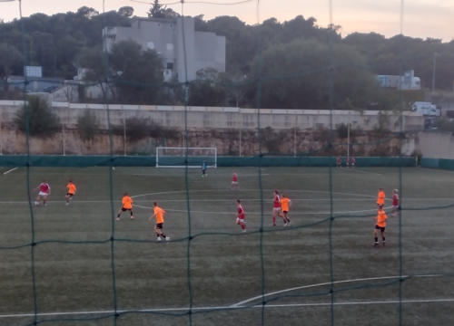 Pioniri Šibenika bolji od Zmaja, fantastičan pogodak Meića riješio utakmicu