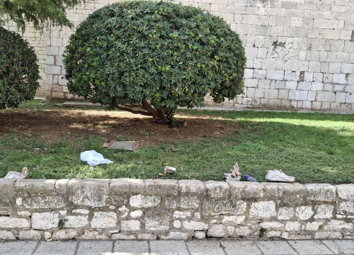 Ispred OŠ Fausta Vrančića nakon marende... ostaci. Mogli bi 'okriviti' odgoj, ali zapravo nema kanti za smeće