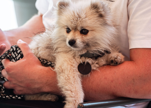 Fotografija 15 - FOTO Đir po gradu, četvrtak 18. rujna