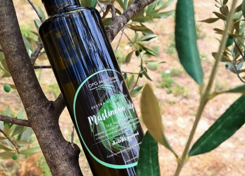 Fotografija 5 - OPG Mate Sladića nastavlja djedovu priču