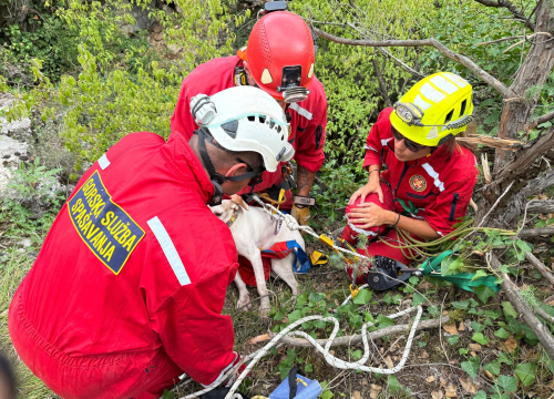 Šibenski HGSS-ovci u Unešiću spasili psa iz jame duboke 15 metara