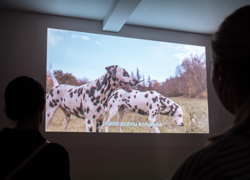 Fotografija 25 - FOTO Istražili smo što donosi jesen u staroj jezgri grada!