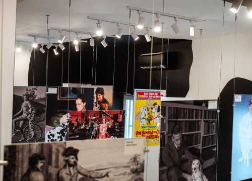 Fotografija 29 - FOTO Istražili smo što donosi jesen u staroj jezgri grada!