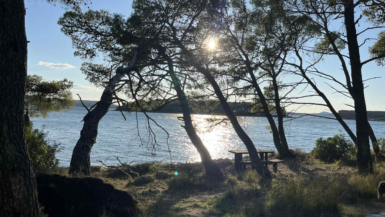 Jaka bura danas odvalila stablo na Šetnici sv. Ante. Još se drži, ali pitanje je vremena...