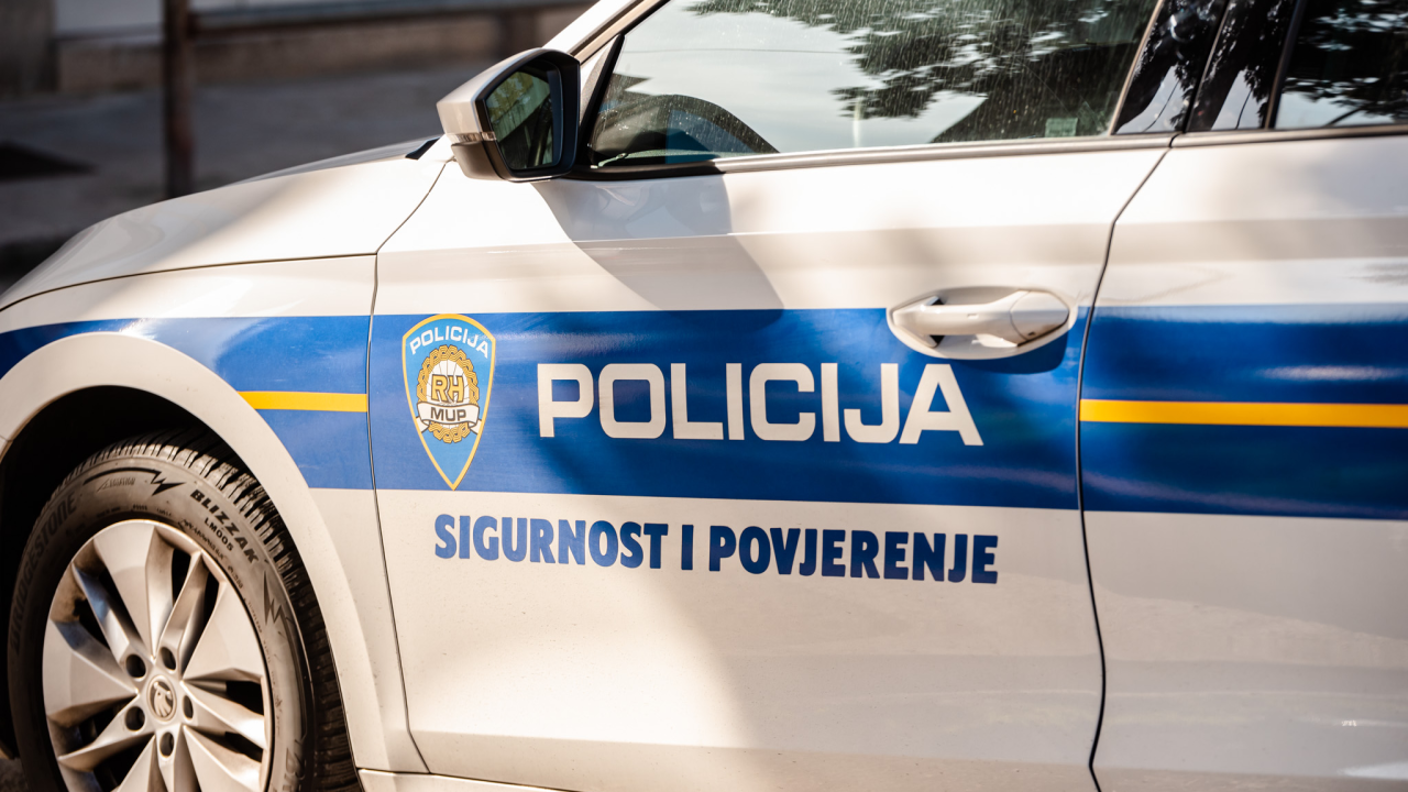 Opasna pogreška: Pucanj za uspavljivanje psa ranio čovjeka