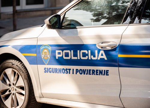 Opasna pogreška: Pucanj za uspavljivanje psa ranio čovjeka