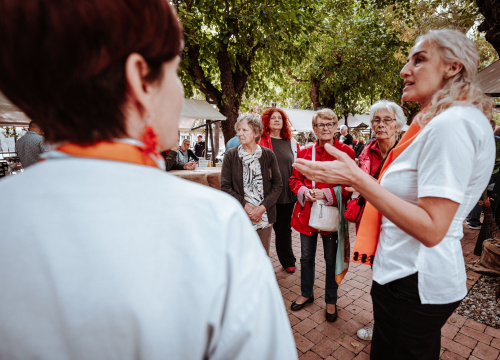 Fotografija 15 - Vodiški Đardin sutra se pretvara u oazu spize i dobrog vina