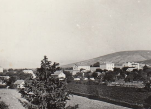 Prezimena iz općine Promina: Od Bronića, Duvančića i Džepine do Mudrinića, Validžića i Zelića