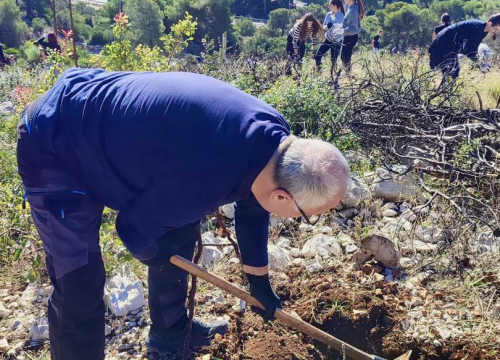 Fotografija 3 - Održana prva od tri akcije pošumljavanja Šubićevca