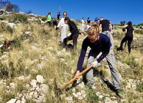 Obnova šumskog ekosustava i prirodne raznolikosti: Održana prva od tri akcije pošumljavanja Šubićevca