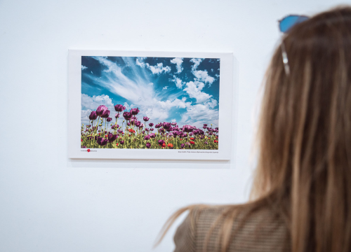 Fotografija 11 - Otvorena izložba 'Volim svoju županiju'