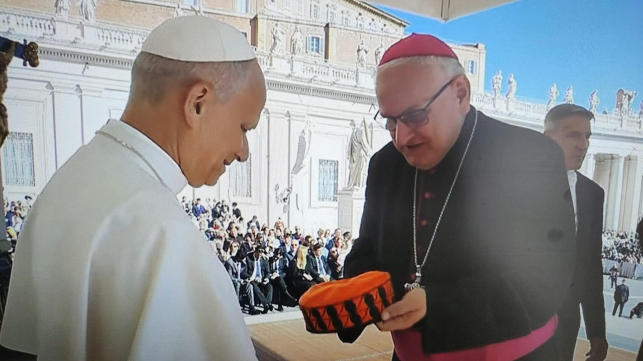 Simbol Šibenika u rukama Pape: Biskup Rogić darovao šibensku kapu Lavu XIV.