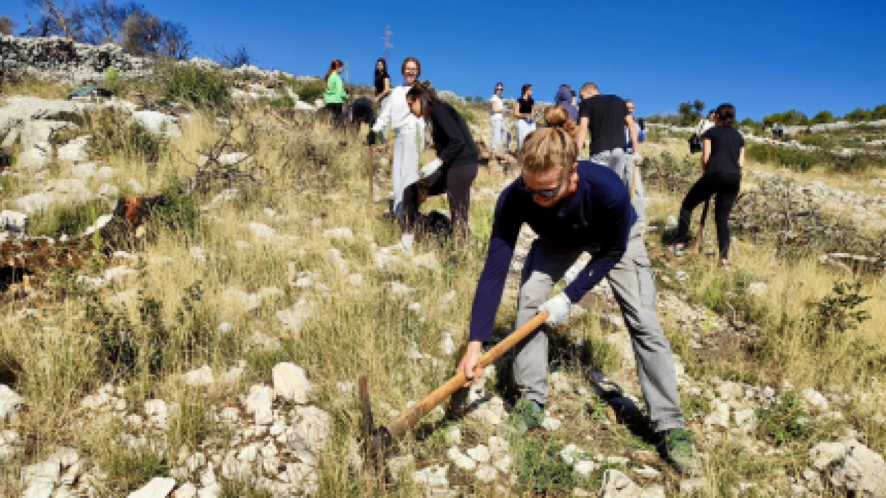 Nova akcija Boranke: Ovog vikenda pošumljavanje požarišta u Lozovcu