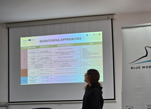 Fotografija 5 - Murter ugostio međunarodnu radionicu o očuvanju morskih vrsta