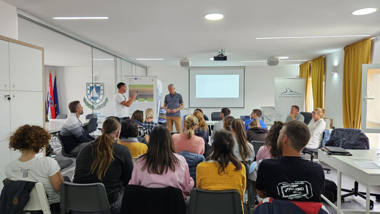 Praćenje dupina, kornjača i sredozemne medvjedice: Murter ugostio međunarodnu radionicu o očuvanju morskih vrsta