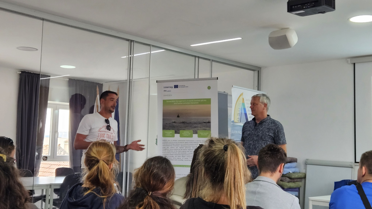 Praćenje dupina, kornjača i sredozemne medvjedice: Murter ugostio međunarodnu radionicu o očuvanju morskih vrsta