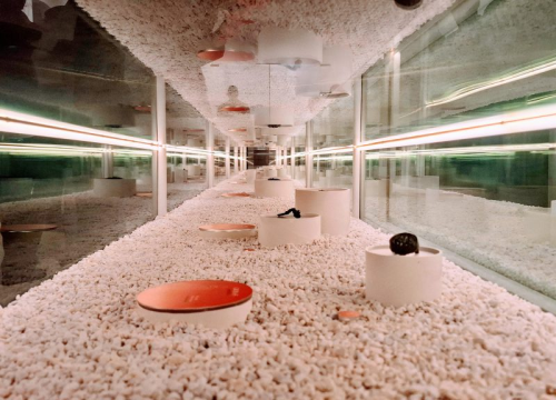 Fotografija 7 - Život i smrt u kasnoantičkoj Dalmaciji: Otvorena izložba na Kaštelu Belveder u Kninu