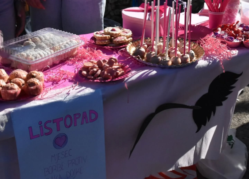 Fotografija 5 - Učenici Gimnazije Antuna Vrančića kreativnim prezentacijama obilježili Dan kruha