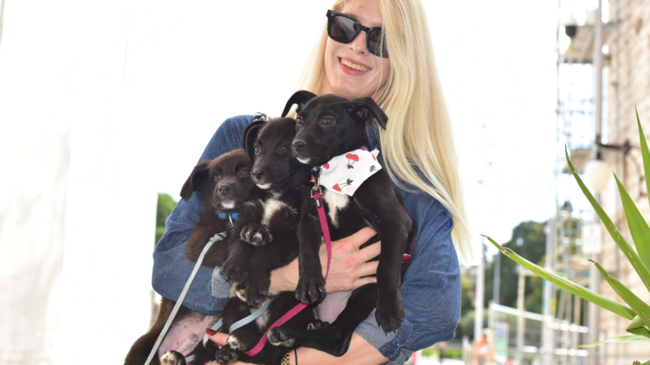 Đir po gradu, subota 11. listopada