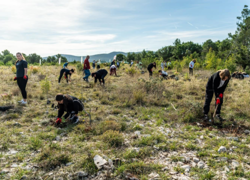 Fotografija 5 - Velika akcija pošumljavanja kod Šibenika: Stotine sadnica posađeno u Lozovcu