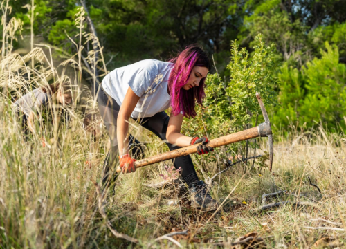 Fotografija 6 - Velika akcija pošumljavanja kod Šibenika: Stotine sadnica posađeno u Lozovcu