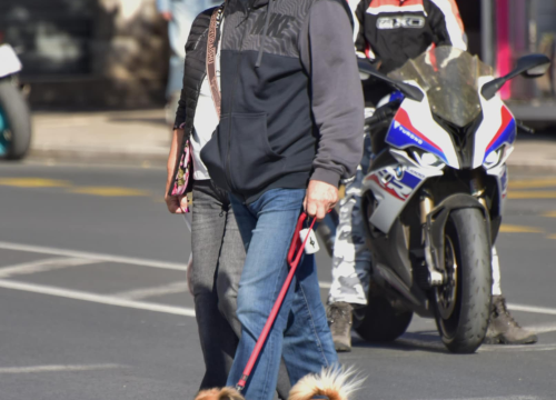 Fotografija 31 - Đir po gradu, nedjelja 12. listopada