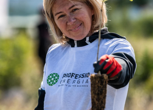 Fotografija 1 - Velika akcija pošumljavanja kod Šibenika: Stotine sadnica posađeno u Lozovcu