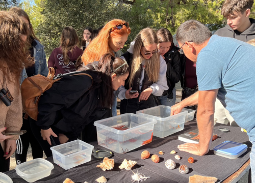 Fotografija 5 - Argonauta održala još jedan 'Eko kamp Kornati'