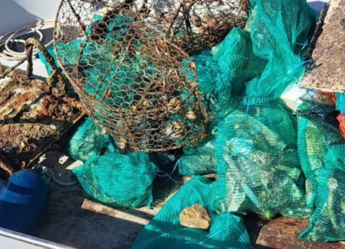 Fotografija 4 - Argonauta održala još jedan 'Eko kamp Kornati'