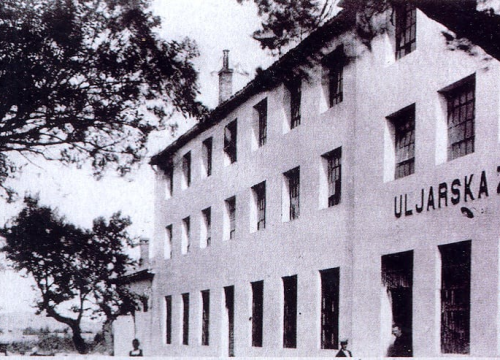 Fotografija 14 - Kapi masline i gušti života: Gurmanske priče s Murtera i Kurnata